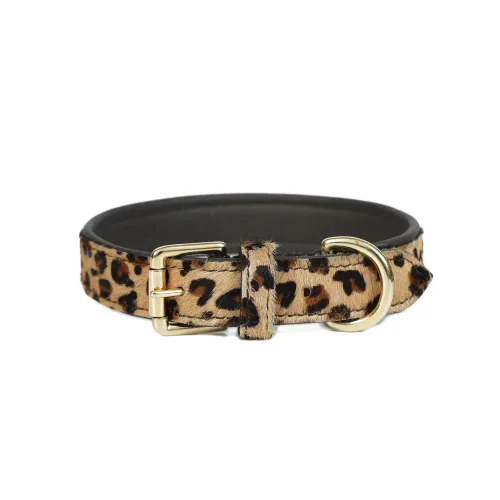 Stella International dog collar, reference 06