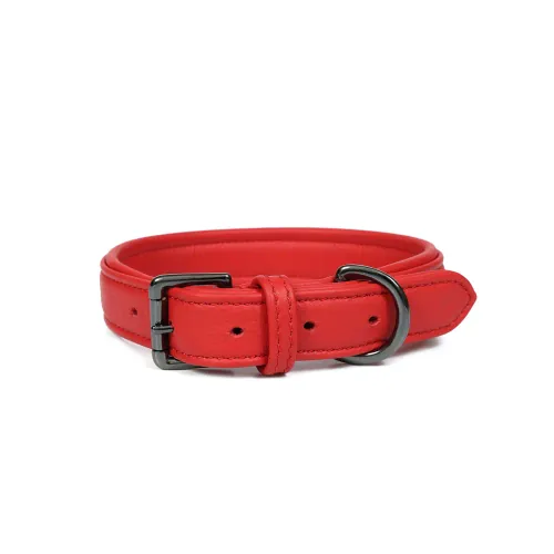 Stella International dog collar, reference 71