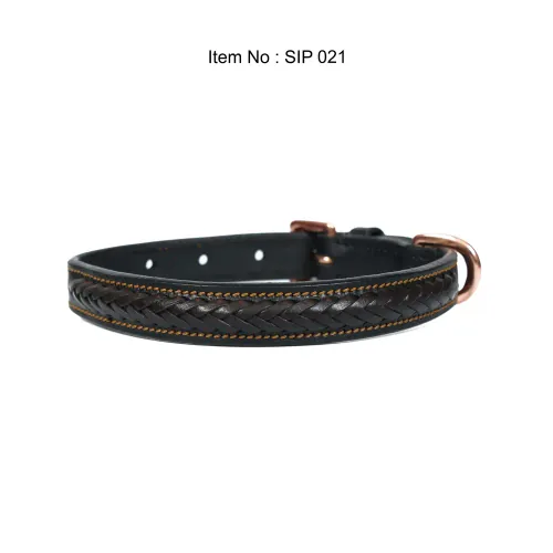 Stella International dog collar, reference IMG_0663