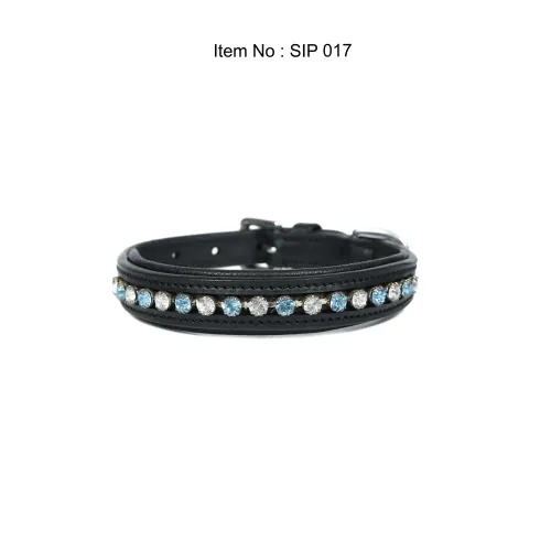 Stella International dog collar, reference IMG_0665