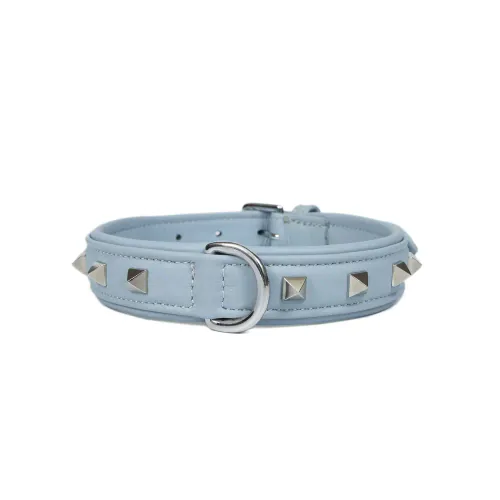 Stella International dog collar, reference IMG_0666