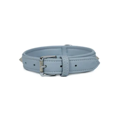 Stella International dog collar, reference IMG_0667