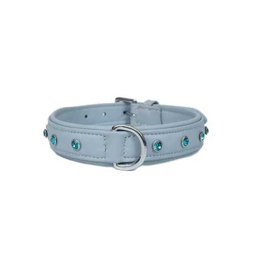 Stella International dog collar, reference IMG_0671